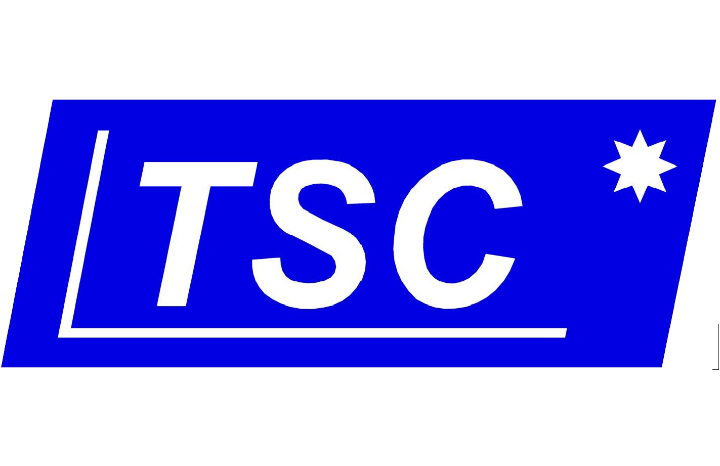 Logo Truc Son